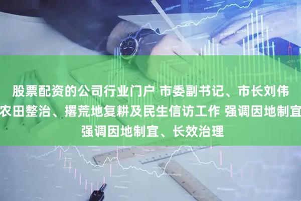 股票配资的公司行业门户 市委副书记、市长刘伟督导高标准农田整治、撂荒地复耕及民生信访工作 强调因地制宜、长效治理